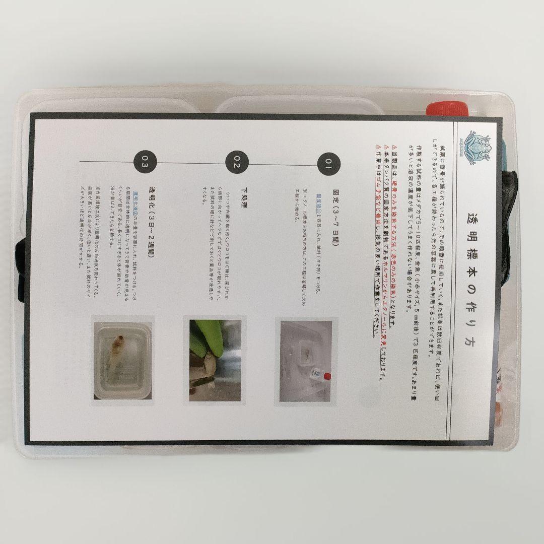 【透明標本作製キット】(上級) 20点　自由研究 学習教材 改良版