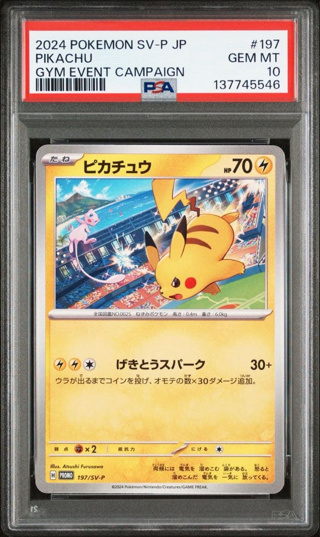 PSA10 ピカチュウ　連番　ジム PROMO プロモ リザードン ミュウ