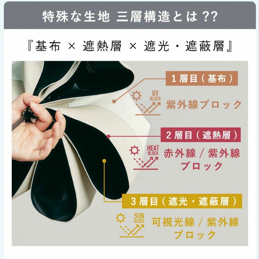 なぎさ COKAGE+ ワンタッチ 2段 55cm 木手元 東レ