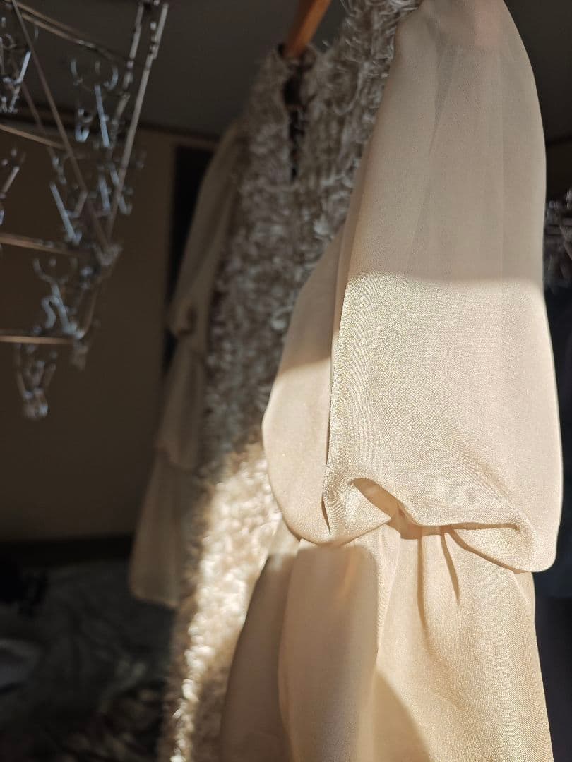 デザインスリーブシャギードレス