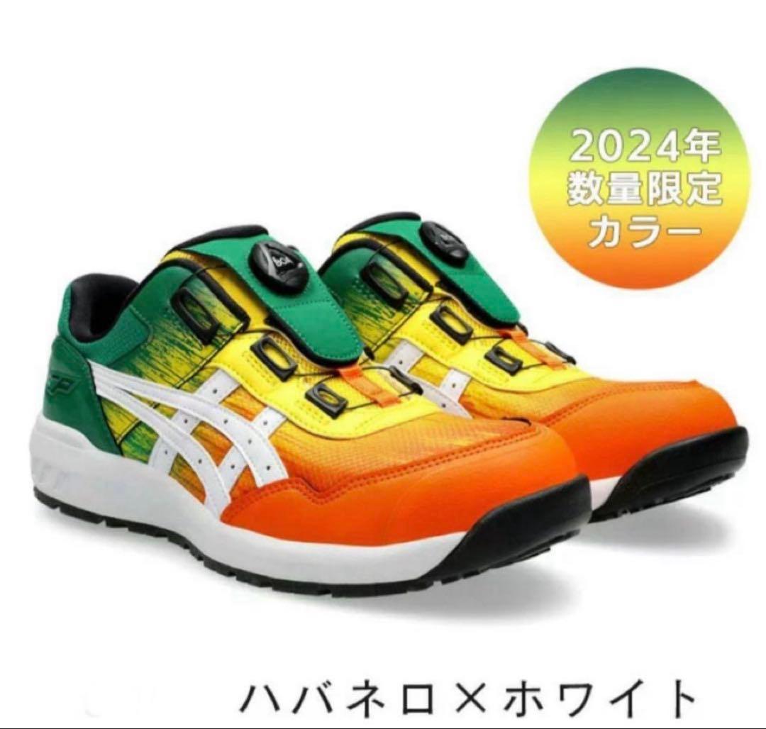 ASICS 安全靴　ウィンジョブ　BoA　cp209　2024限定カラー