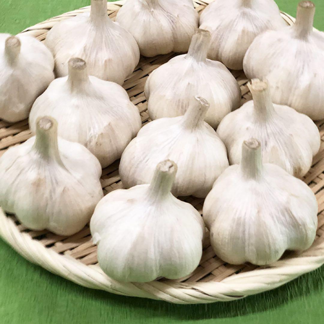 大特価‼︎【最上級品】青森県倉石産にんにく福地ホワイト六片種2Lサイズ 5kg
