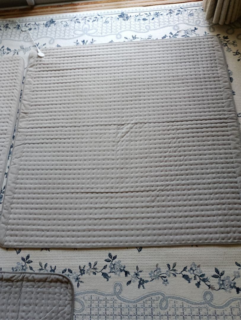 デンバヘルス　スタンダードタイプ　ラテさん専用