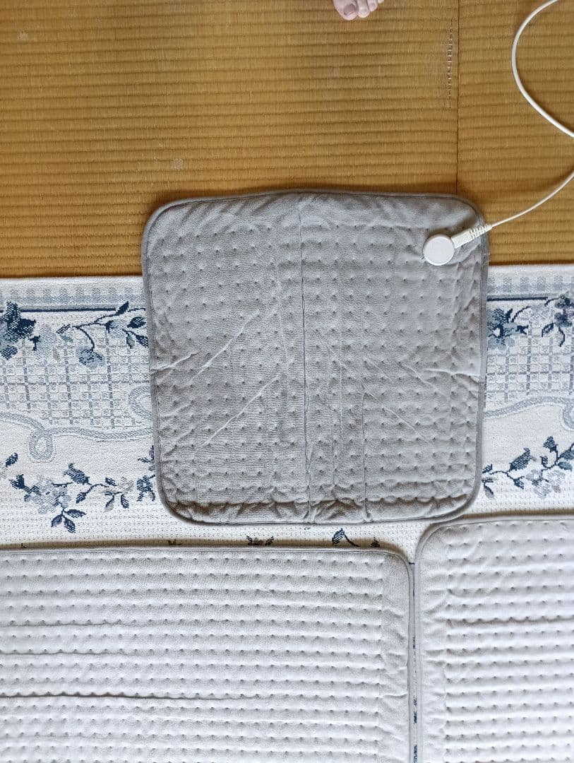 デンバヘルス　スタンダードタイプ　ラテさん専用