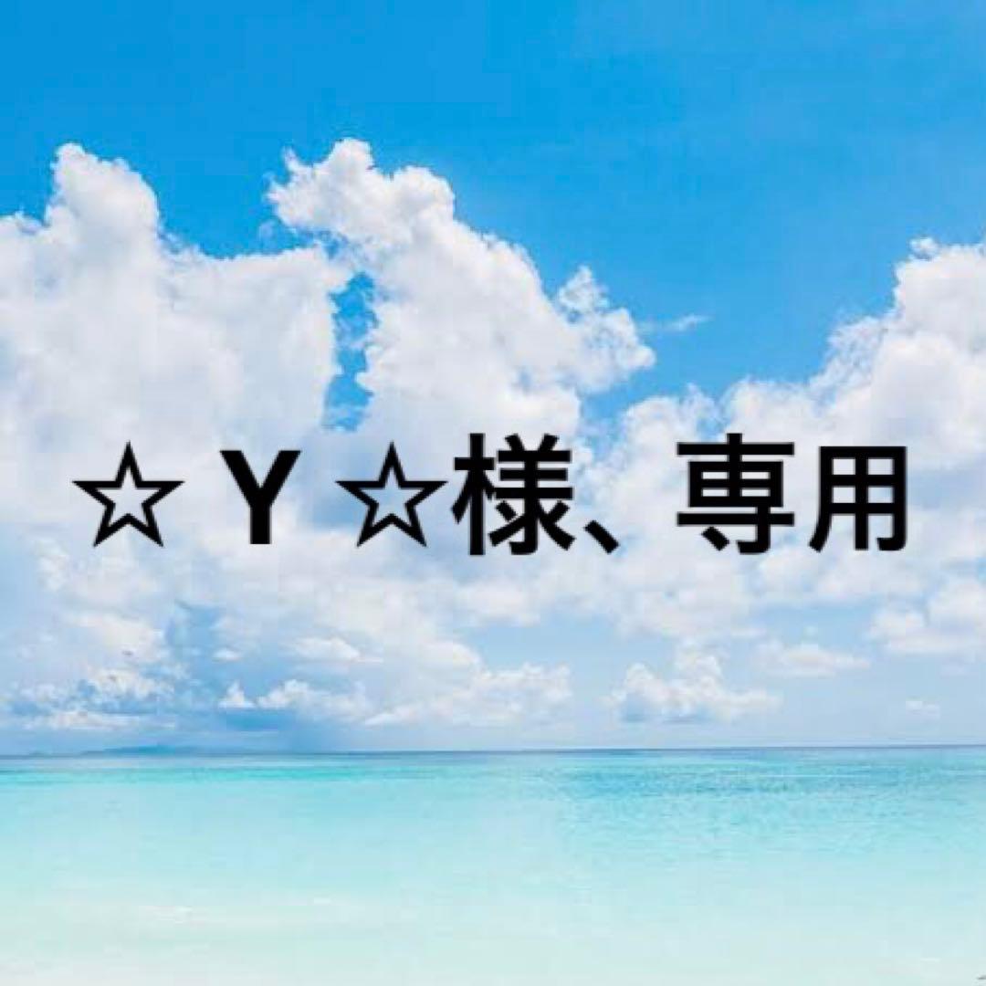 ☆ Y ☆様、専用