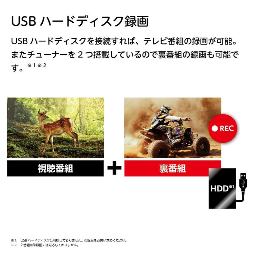 ORION 50インチ　4K　OLS50RD10 2024年製　50V