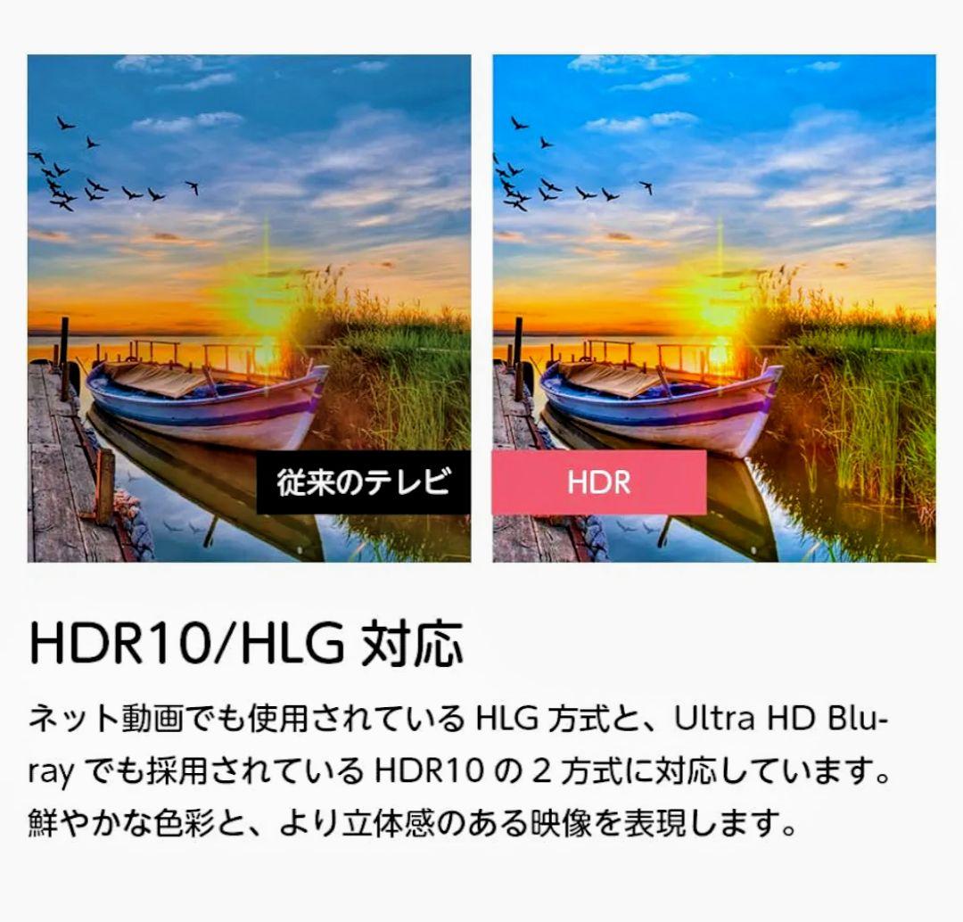 ORION 50インチ　4K　OLS50RD10 2024年製　50V