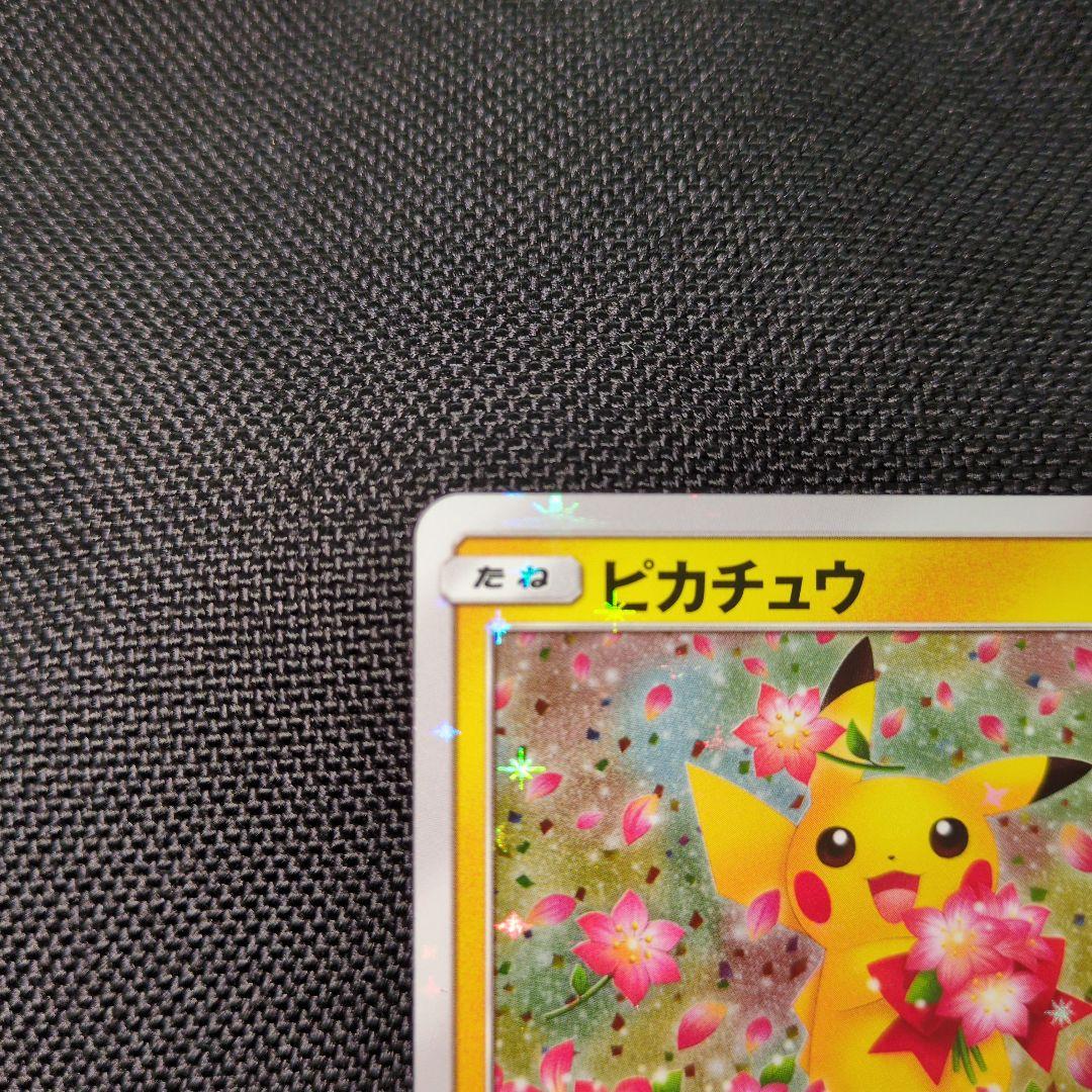 ピカチュウ 224/SM-P みんなでいわう