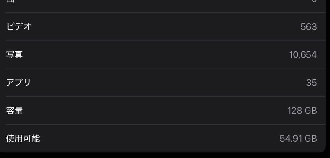 iPad Pro 12.9 第5世代 シルバー 128GB M1チップ