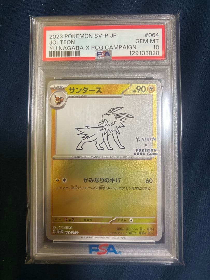 nagaba プロモ　サンダース