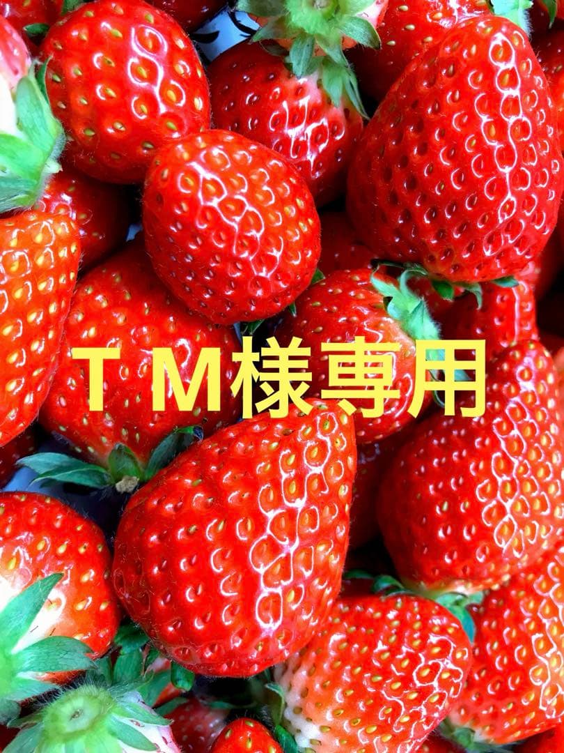 果物 T M