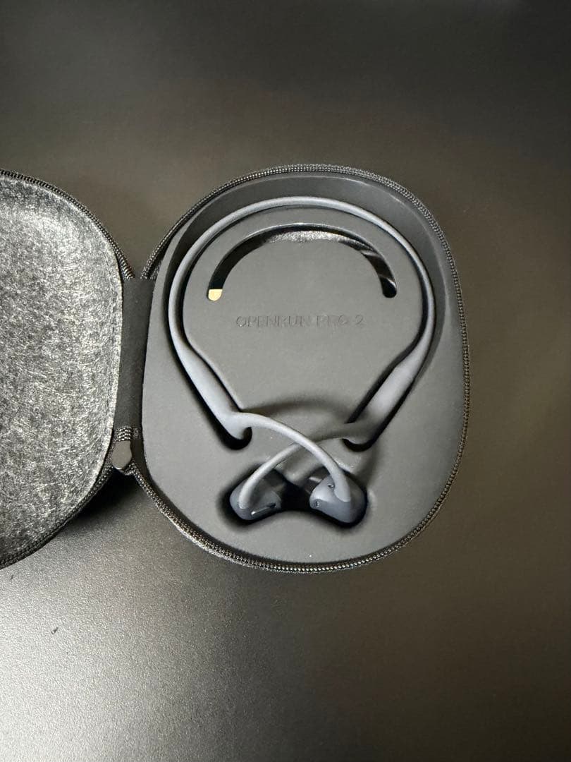 Shokz OpenRun Pro2 標準サイズ