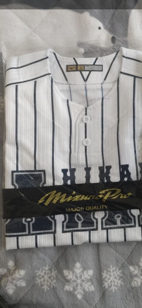 阿南光高校野球部ユニフォームL 最終値下げ