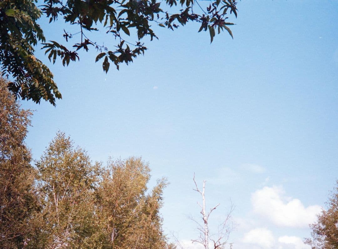 OLYMPUS PEN-D（作例あり）