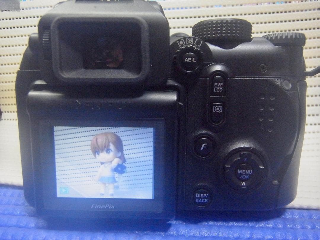 最終価格!お買い得!【動作良好】FUJIFILM FinePix S9000