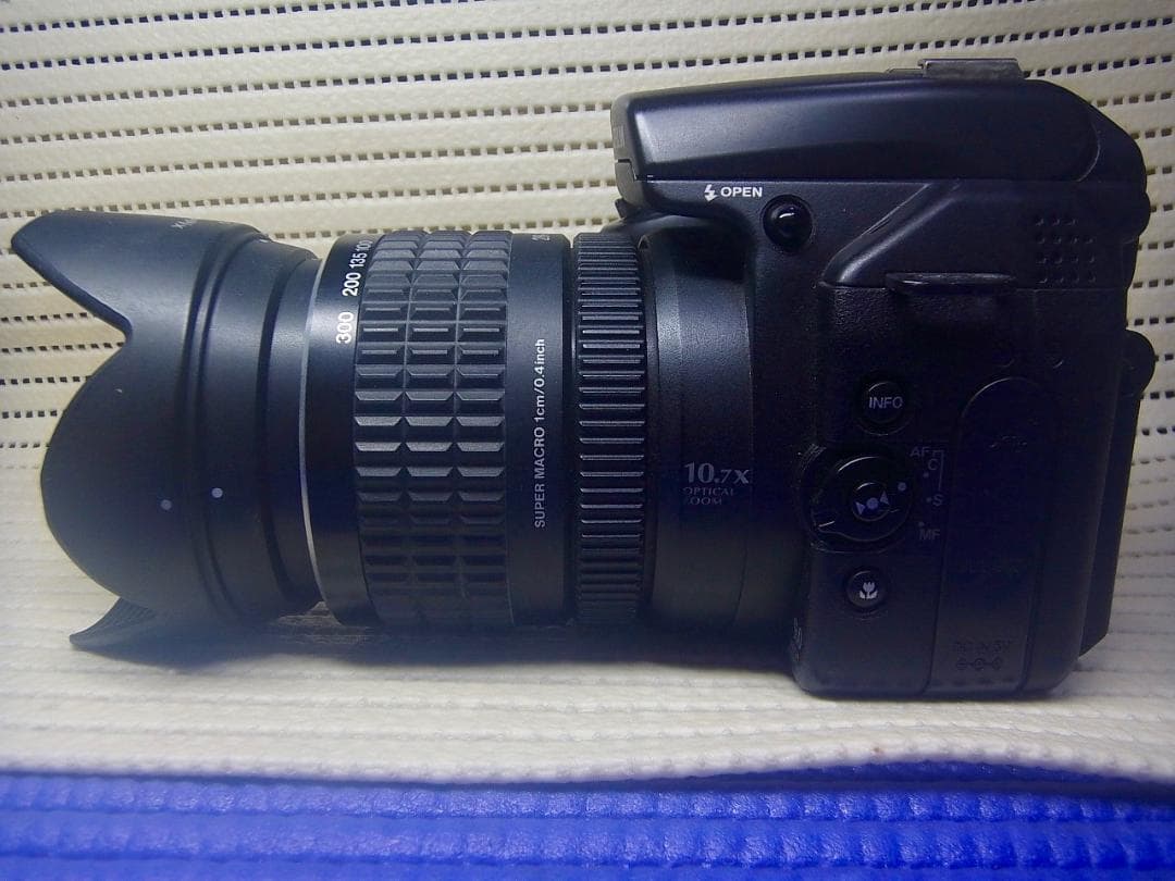 最終価格!お買い得!【動作良好】FUJIFILM FinePix S9000