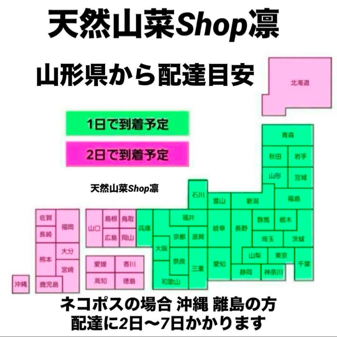 天然きのこ 松茸 国産 マツタケ まつたけ 大自然の凛さん採取その141