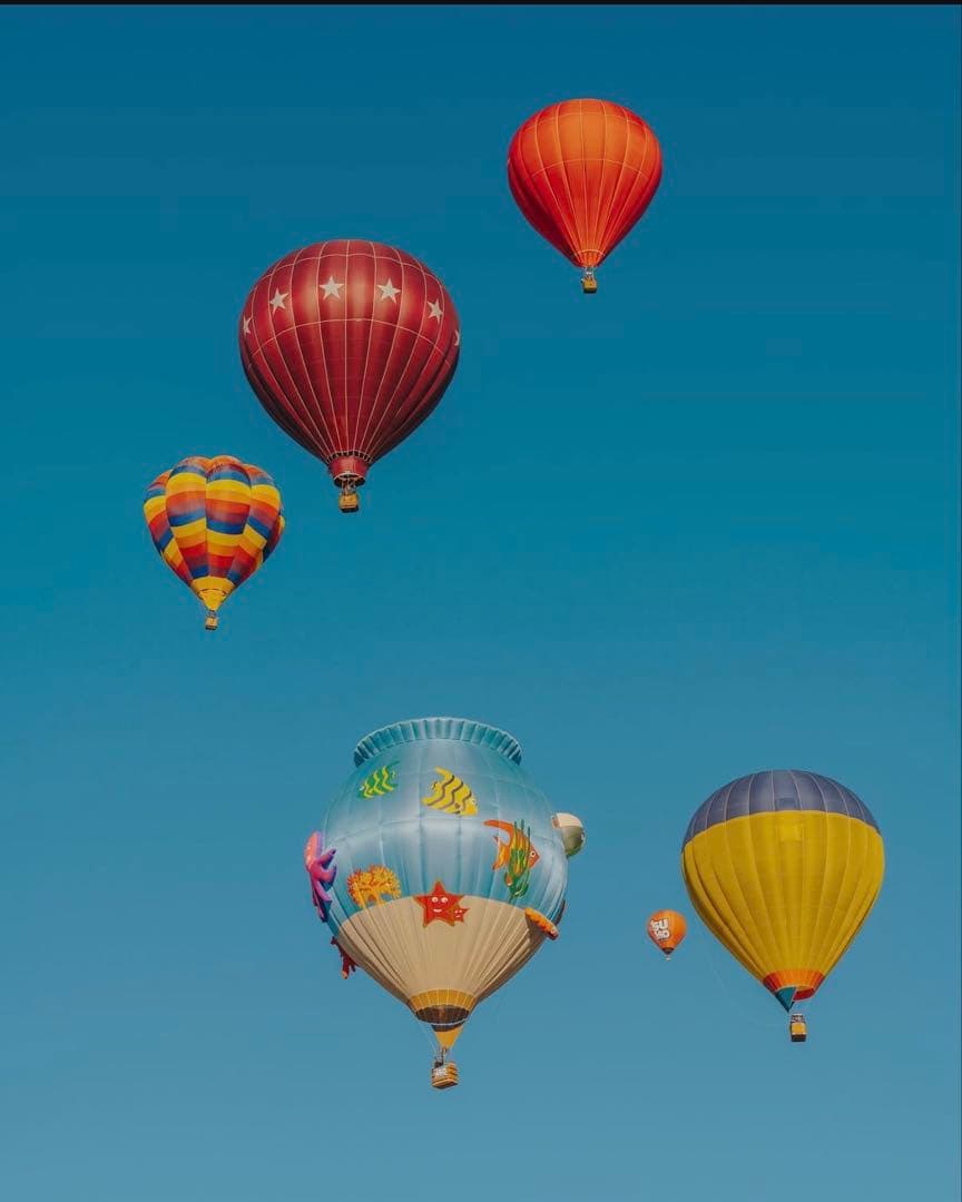 ロンパース・カバーオール mctiiiy