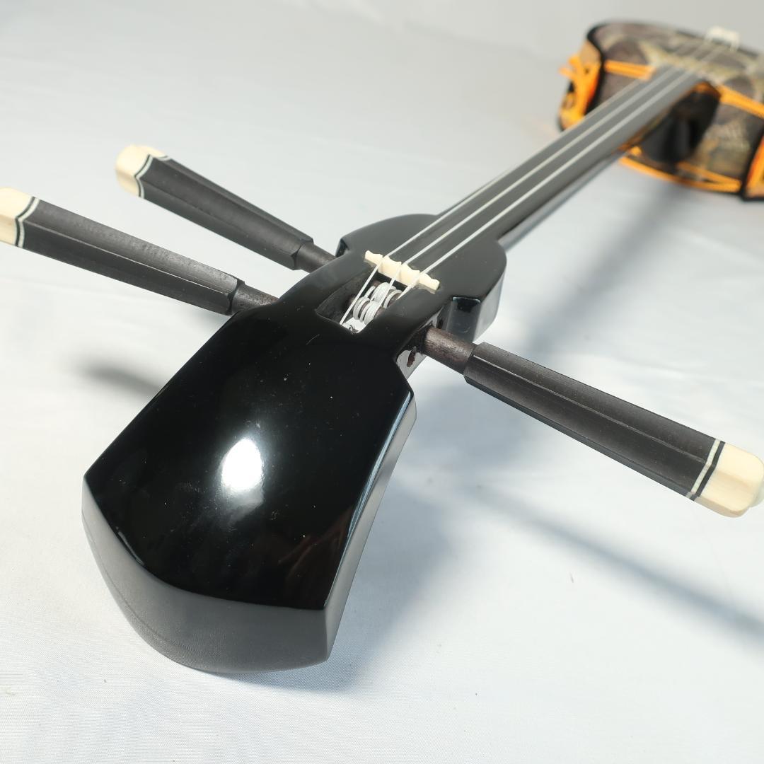 沖縄三線 ハードケース付 爪 予備弦 教則本 付属 和楽器