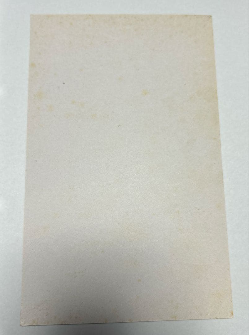 ワンピース カードゲーム アラバスタの攻防　台紙