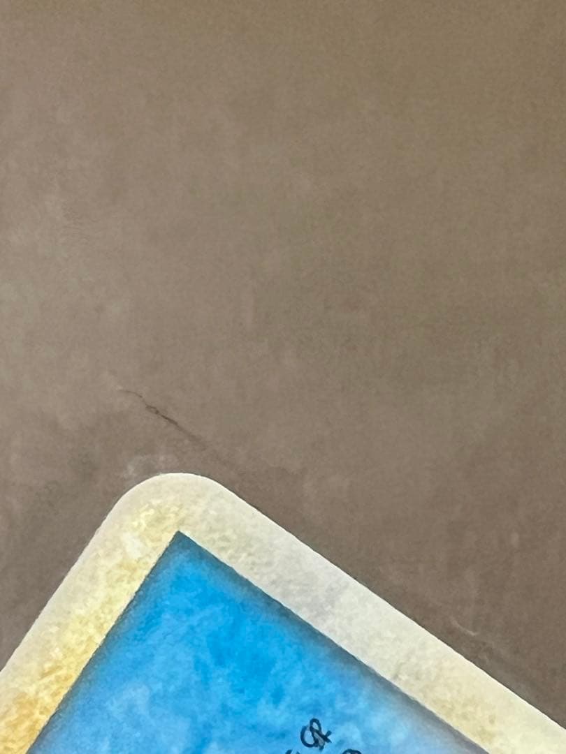 【極美品】ギャラドス：ランダムベーシック キラカード PROMO 004/L…