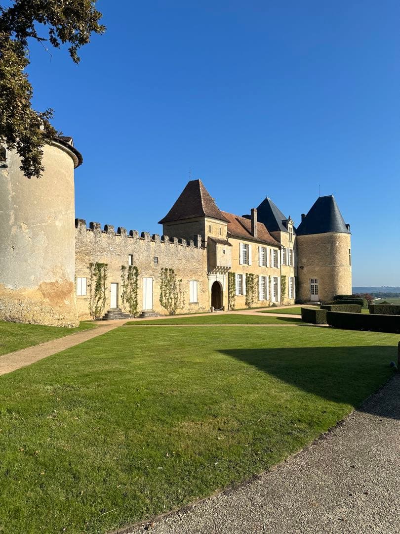 【激レア】シャトーディケム　ソーテルヌ No.7 N.V.