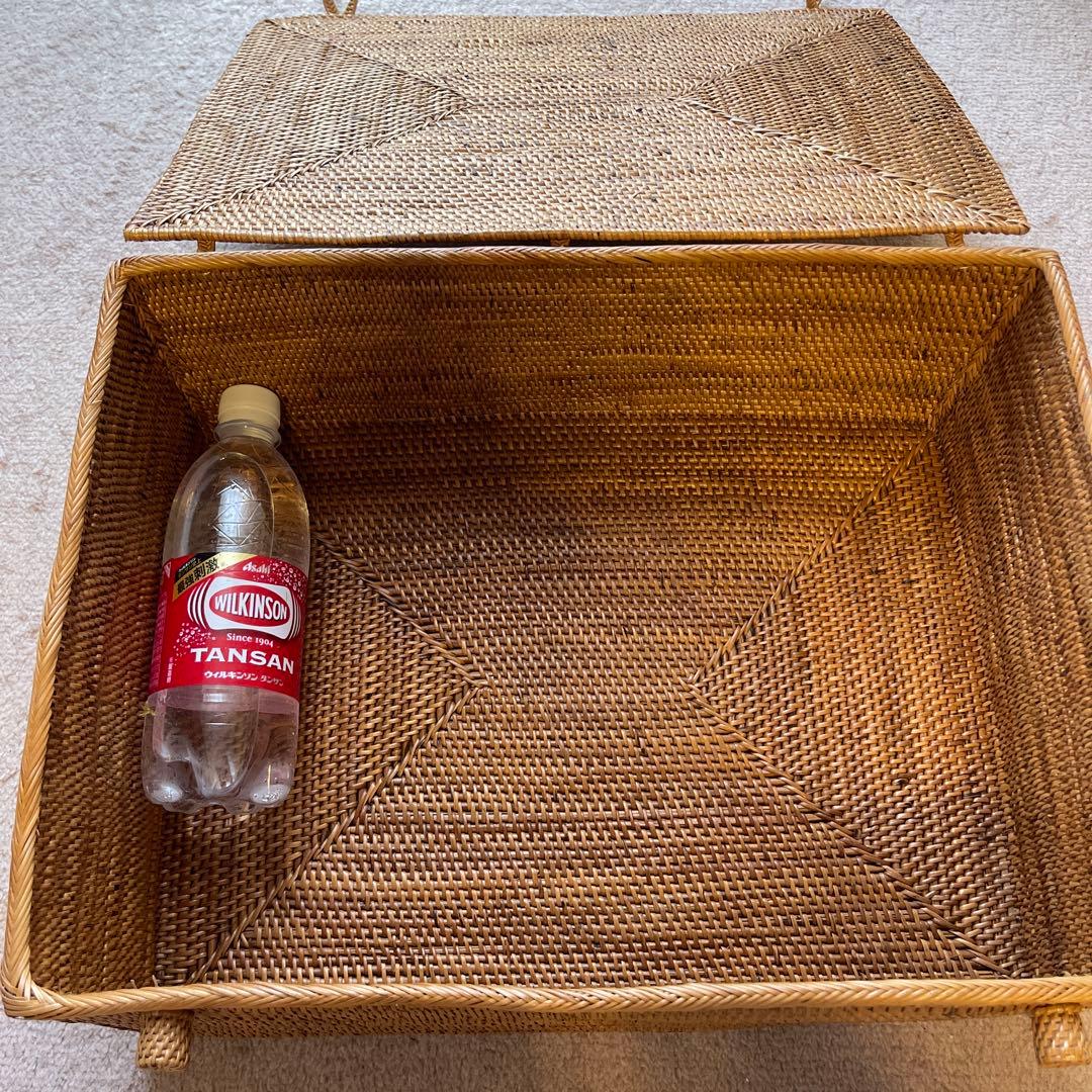 大きなアタかご蓋つき