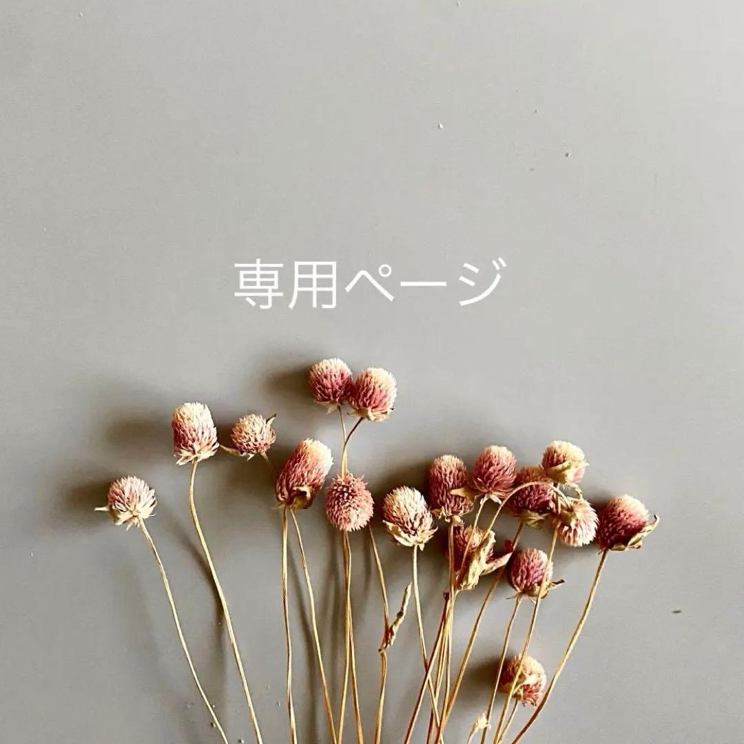 カピ バラ様*°♡