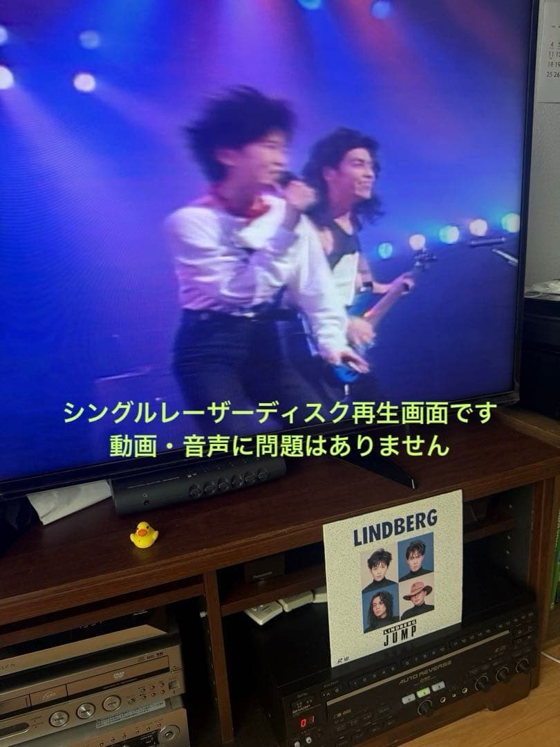 【LD/CD動作品】SHARPレーザーカラオケプレーヤー マイク・リモコン付