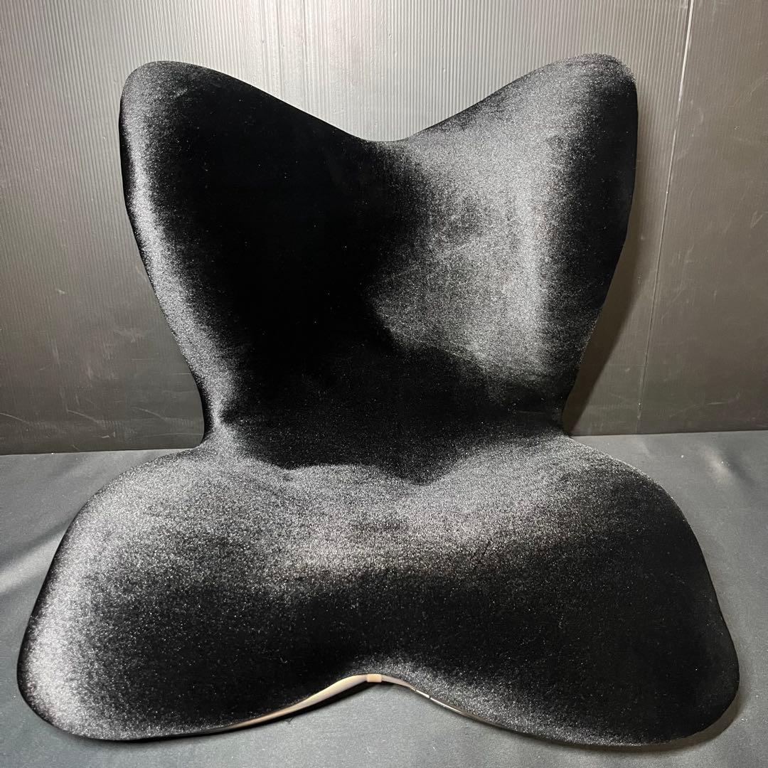 Style premium DX スタイル プレミアム デラックス ブラック