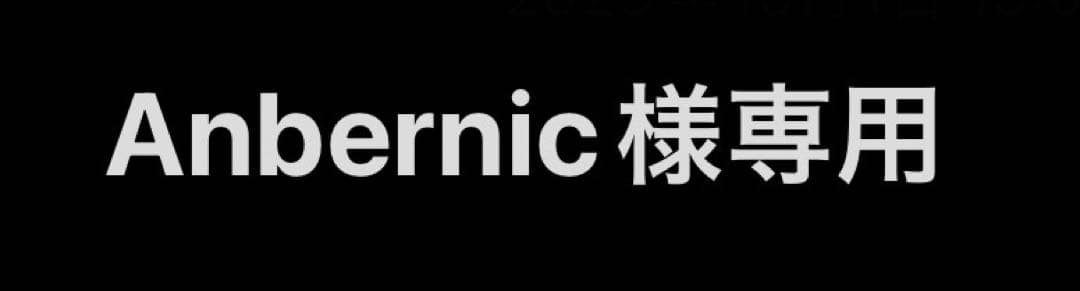 Anbernic様用【中古】【整備済品】MINISFORUM NAB6 Lite