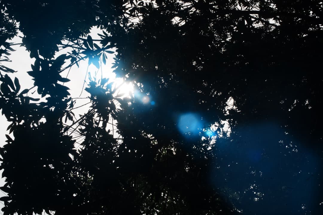 【極美品】 ミノルタ MC W.ROKKOR-HG 35mm F2.8 後 01