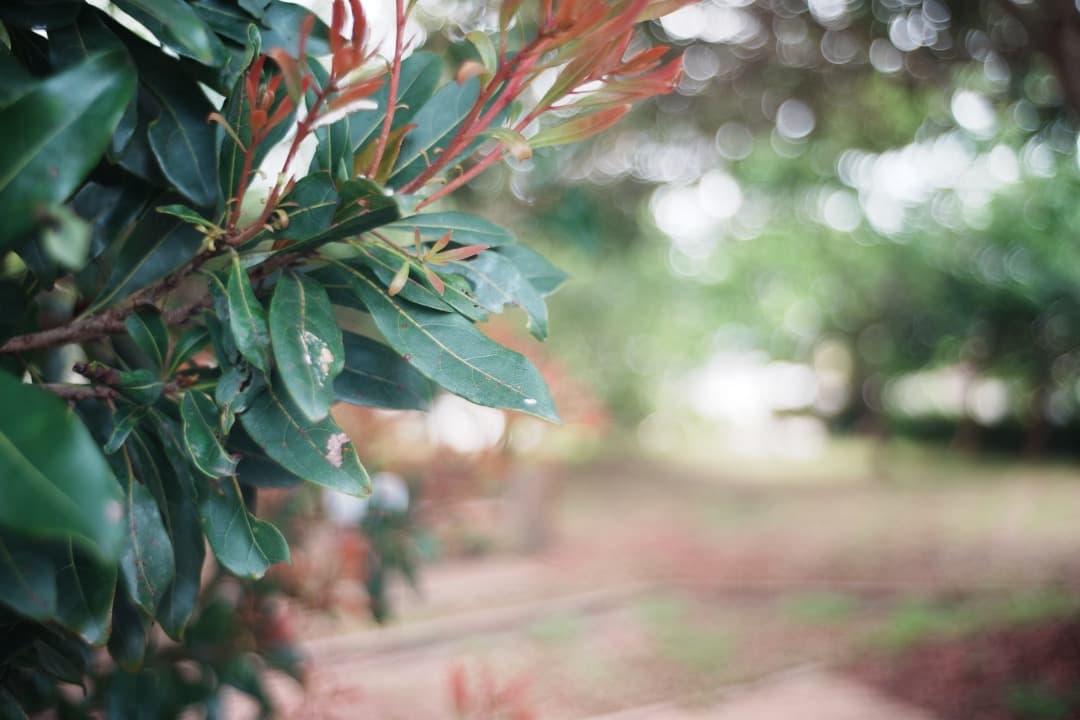 【極美品】 ミノルタ MC W.ROKKOR-HG 35mm F2.8 後 01