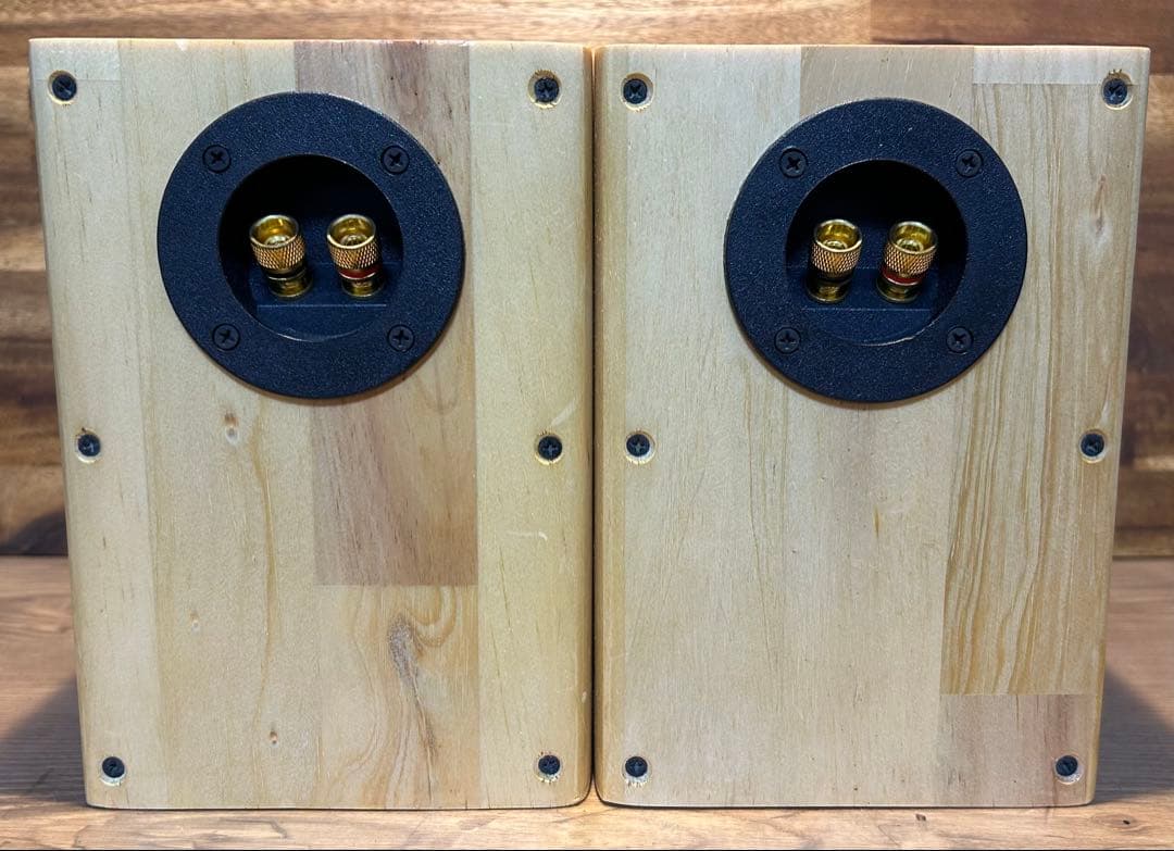 フルレンジユニット　MAOP5 Gen1 バックロードホーン　スピーカー