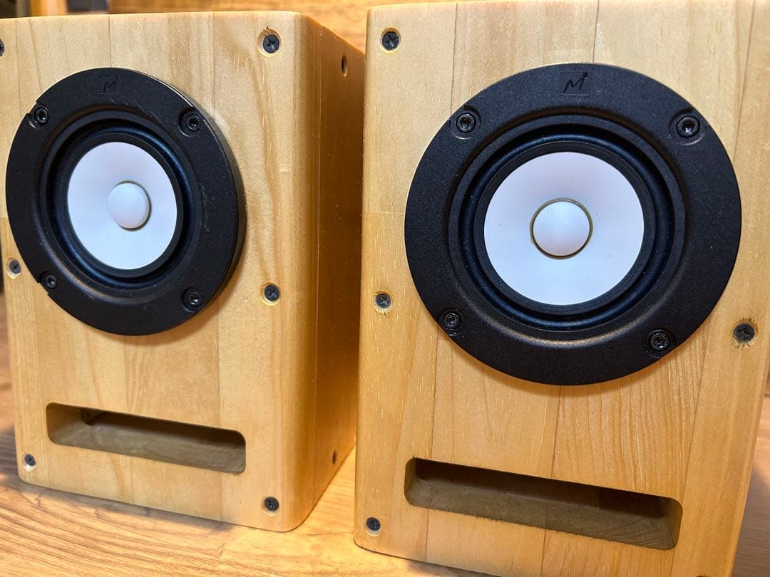 フルレンジユニット　MAOP5 Gen1 バックロードホーン　スピーカー