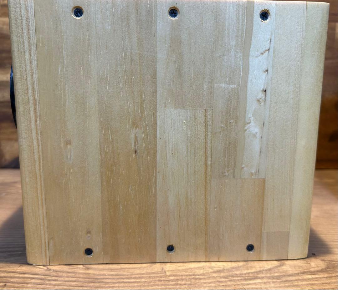 フルレンジユニット　MAOP5 Gen1 バックロードホーン　スピーカー