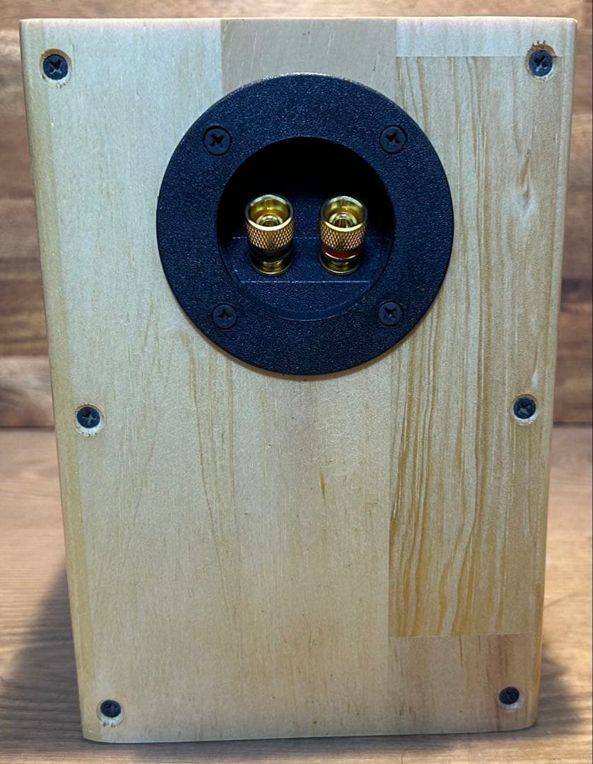 フルレンジユニット　MAOP5 Gen1 バックロードホーン　スピーカー