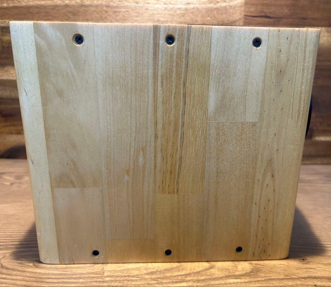 フルレンジユニット　MAOP5 Gen1 バックロードホーン　スピーカー