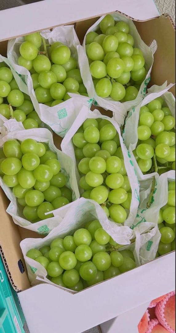 沖縄クール便‼️リピ割‼️シャインマスカット　葡萄　ぶとう　ブトウ　箱込み5kg