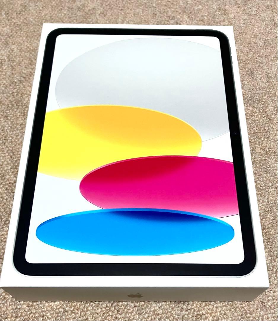 iPad本体 iPad (A16) Wi-Fi 128GB