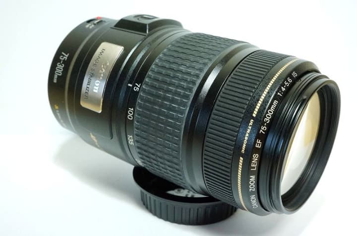 【ブレない/手振れ】 Canon EF75-300 4-5.6 IS USM