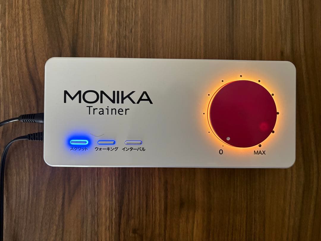 モニカトレーナー パルストレーナー 3D EMS ホーマーイオン研究所
