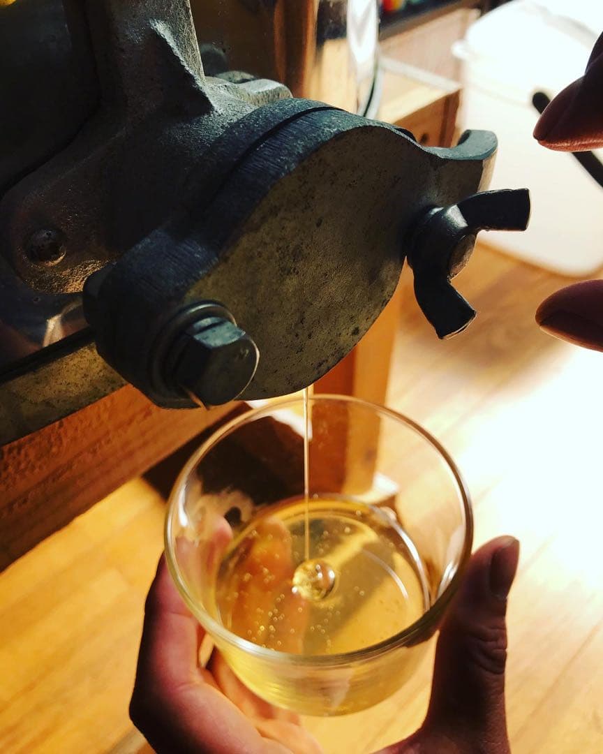 国産　非加熱ハチミツ　250g×6個