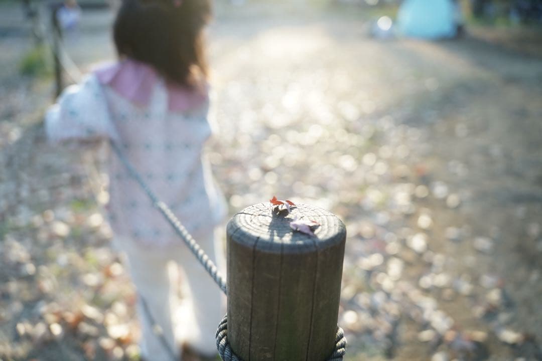 レンズ(ズーム) SIGMA 28-70mm F2.8 DG DN Contemporary