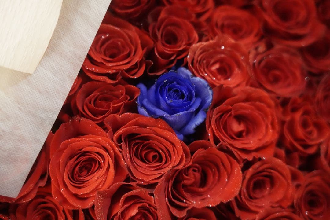 レンズ(ズーム) SIGMA 28-70mm F2.8 DG DN Contemporary