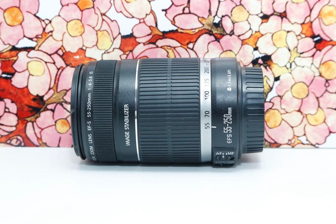 ❤お手頃望遠❤キヤノン EF-S 55-250mm F4-5.6 IS ❤