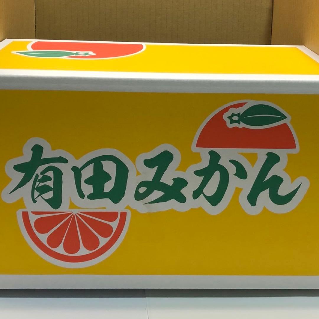 和歌山県産 有田みかん 箱込み約5kg 小玉 訳あり