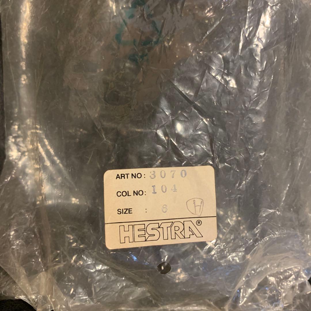HESTRA（ヘストラ）スキーグローブ　ECOCUIR（エコクイ）short