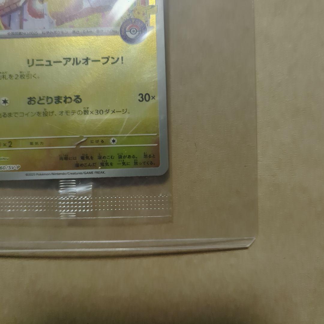 トウホクのピカチュウ　260/sv-p promo