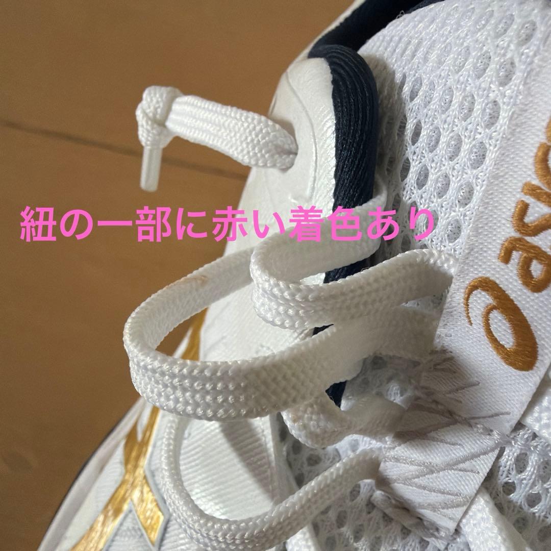 アシックス　スカイエリートFF3　28.5cm